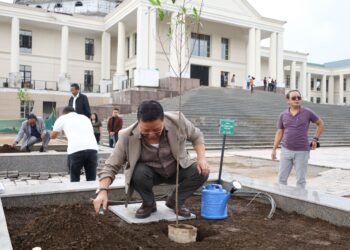 CM targets 400 sq km of new forest cover in 5 years