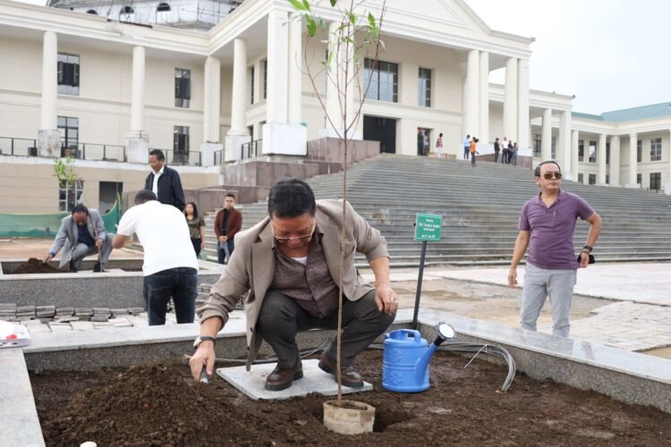 CM targets 400 sq km of new forest cover in 5 years