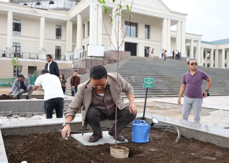 CM targets 400 sq km of new forest cover in 5 years