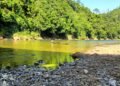 Concern raised over fish deaths in Prang River