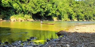 Concern raised over fish deaths in Prang River