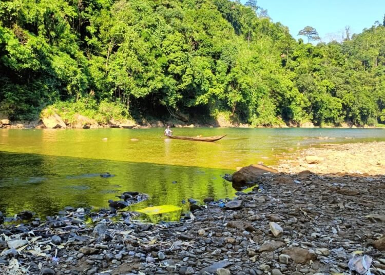 Concern raised over fish deaths in Prang River