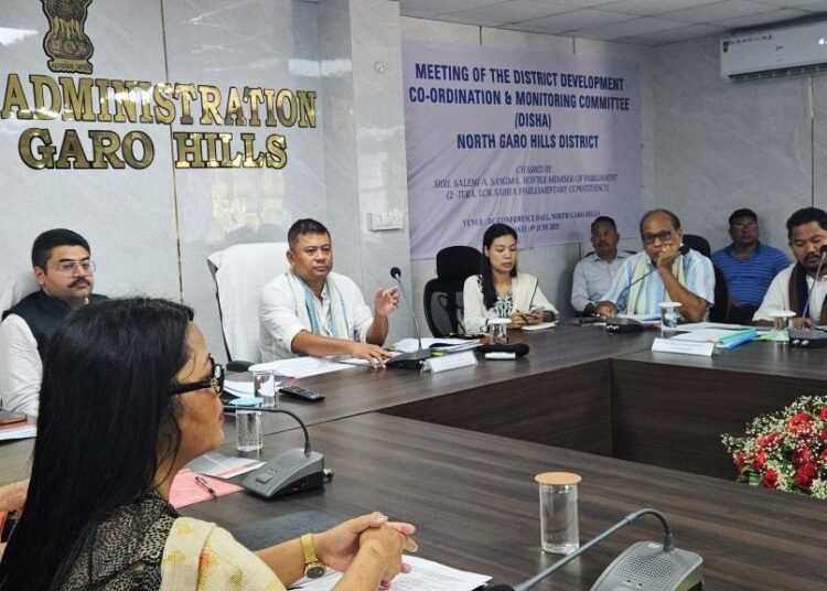 Saleng hosts meet on devp coordination & monitoring in NGH