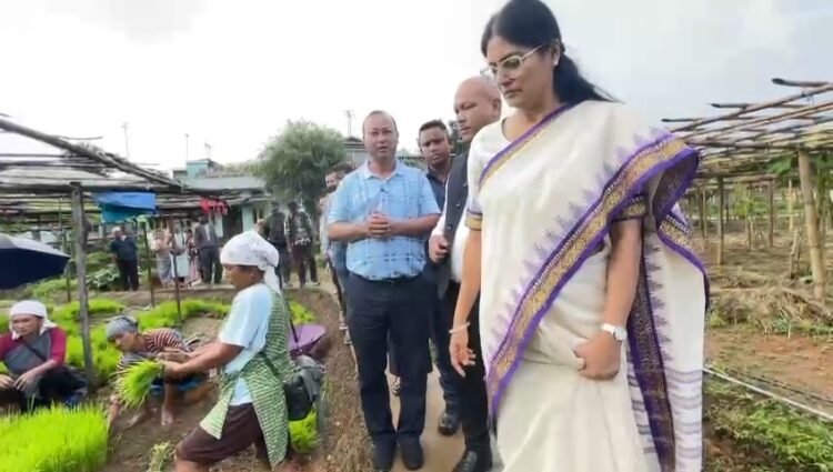 Union MoS conducts review in WKH