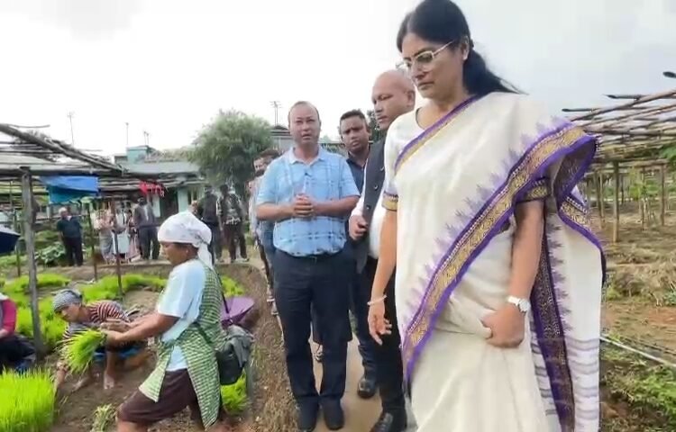 Union MoS conducts review in WKH