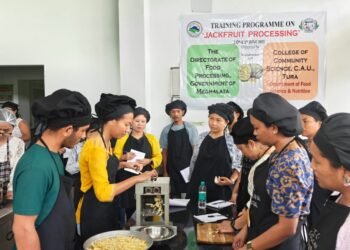 Rs 434 cr of jackfruit go to waste annually for want of processing