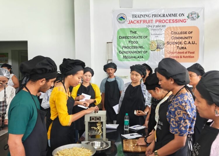 Rs 434 cr of jackfruit go to waste annually for want of processing