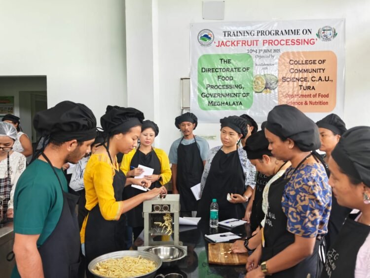 Rs 434 cr of jackfruit go to waste annually for want of processing