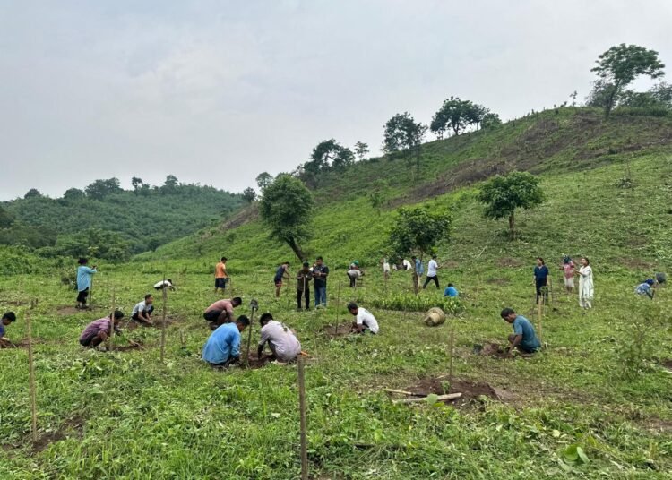 State goes green for World Environment Day