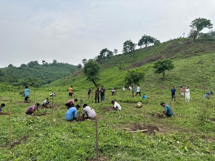 State goes green for World Environment Day