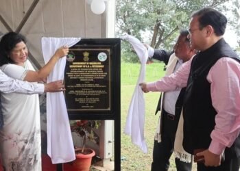 Semen bank to be created for sheep & goat rearing