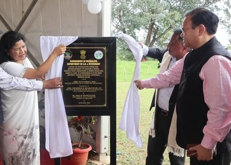 Semen bank to be created for sheep & goat rearing