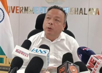 VPP poorly prepared to run KHADC, Paul says