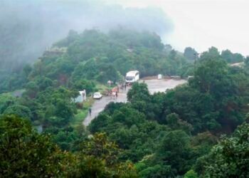 ‘Let police investigate Raja murder from all angles’