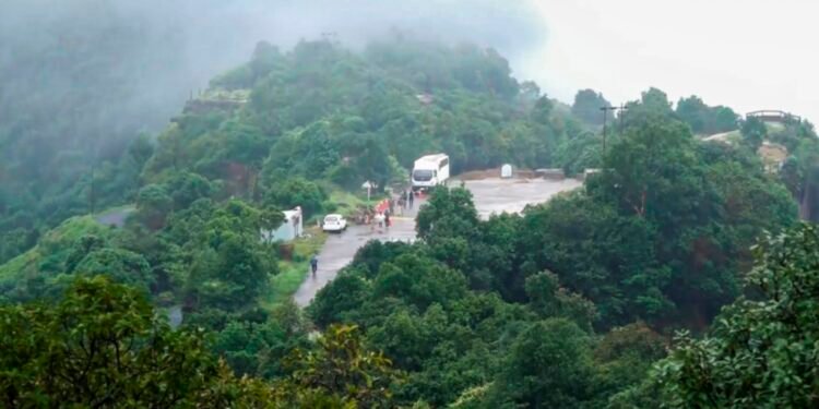 ‘Let police investigate Raja murder from all angles’