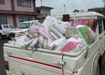 More than 1.7 tonnes of banned plastic items seized in EJH