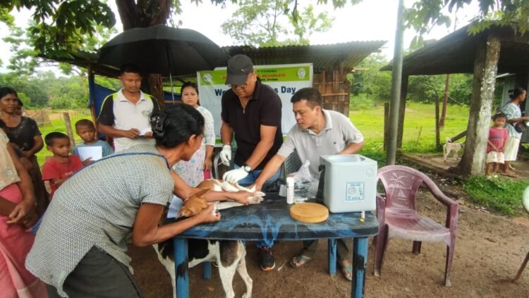 Animal health camp held for Zoonosis Day