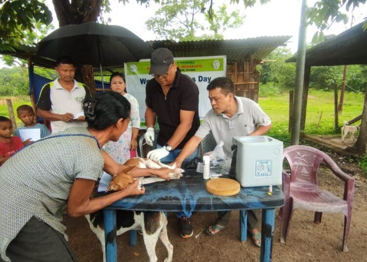 Animal health camp held for Zoonosis Day