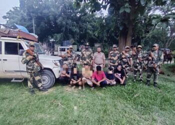 7 cattle smugglers arrested, dozens of animals rescued in joint op