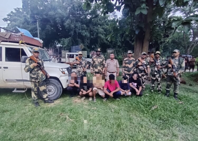 7 cattle smugglers arrested, dozens of animals rescued in joint op