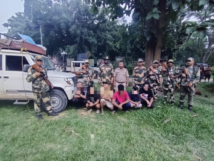 7 cattle smugglers arrested, dozens of animals rescued in joint op