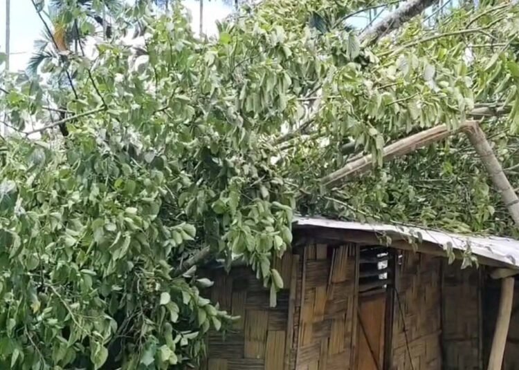 Crops & homes in Ri-Bhoi villages damaged due to sudden storm