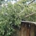 Crops & homes in Ri-Bhoi villages damaged due to sudden storm