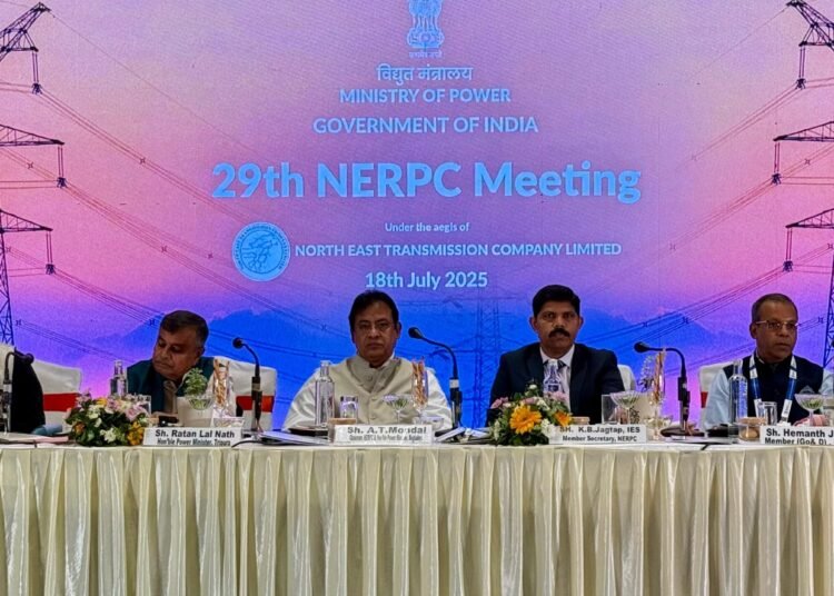 Mondal suggests significant changes to NE electricity arena