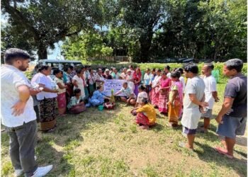 Farmers attend training on pest management in paddy
