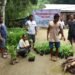 Plants distributed to farmers under NICRA
