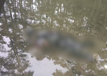 Private water supplier’s body found face down in shallow pool