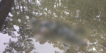 Private water supplier’s body found face down in shallow pool
