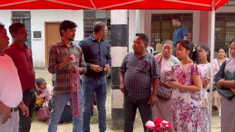 Natural dyes promoted through workshop