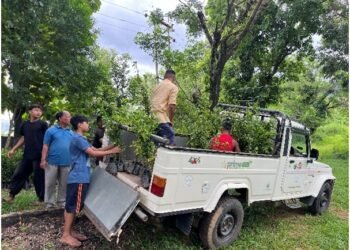 ICAR-KVK West Garo Hills looks to boost orange growers