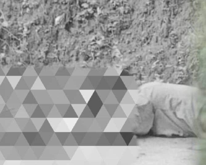 Women’s Commission takes suo motu cognizance of student murder case