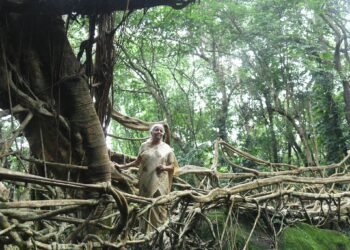 Sitharaman backs Meghalaya’s quest for UNESCO recognition of living root bridges