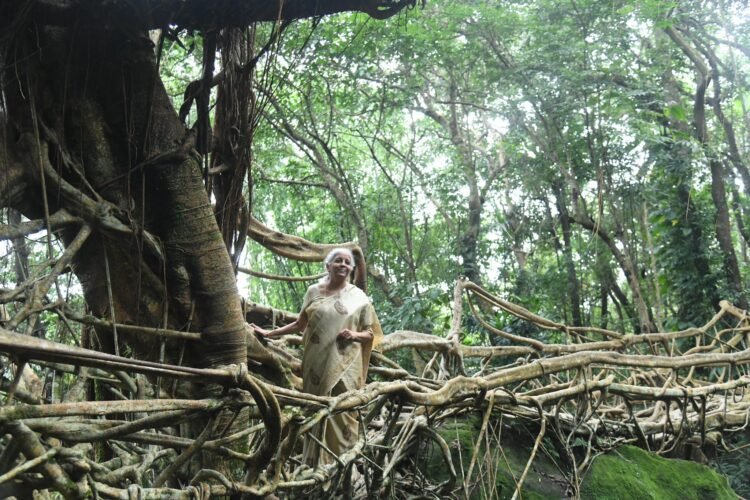 Sitharaman backs Meghalaya’s quest for UNESCO recognition of living root bridges