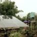Solar Water Pump: A solution for off-season vegetable cultivation