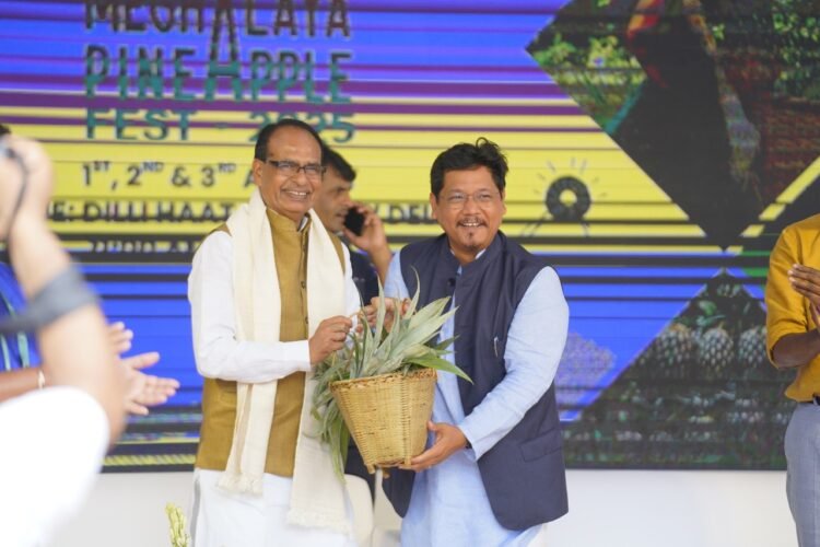 Plans afoot to airlift agricultural products from Meghalaya: Chouhan