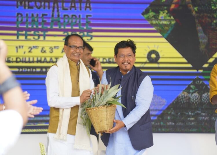 Plans afoot to airlift agricultural products from Meghalaya: Chouhan