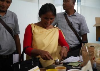 Meghalaya farmers gain industry insights, visitors celebrate world-class pineapples