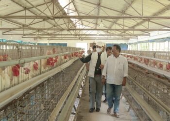 Assembly committee impressed with poultry farms
