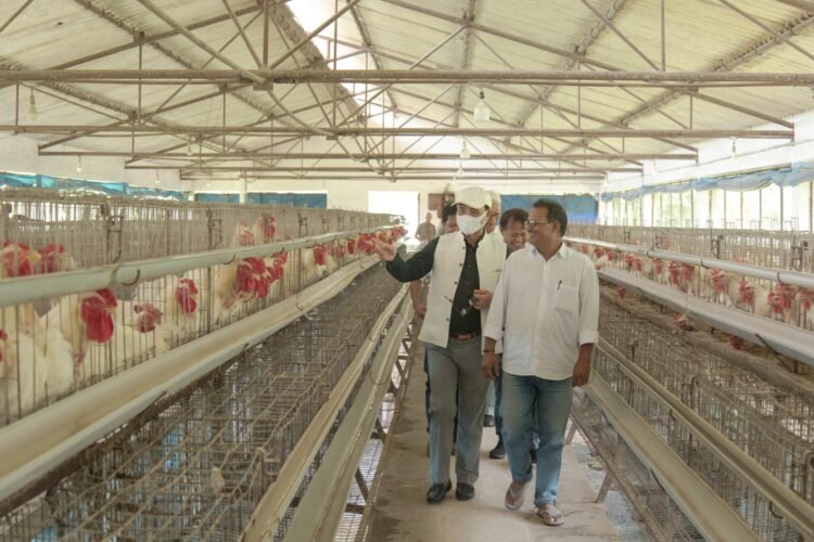 Assembly committee impressed with poultry farms