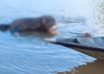 Body found of man who jumped into river following dispute 