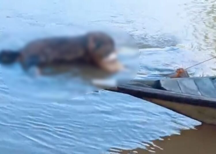 Body found of man who jumped into river following dispute 