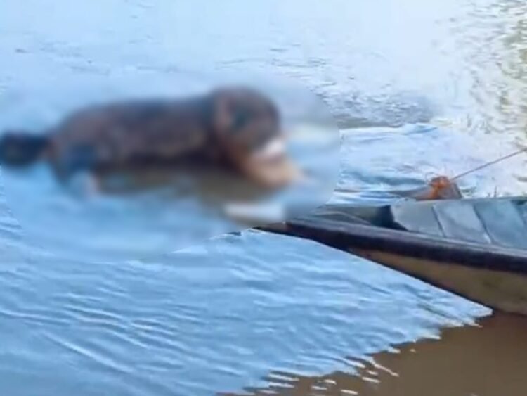 Body found of man who jumped into river following dispute 