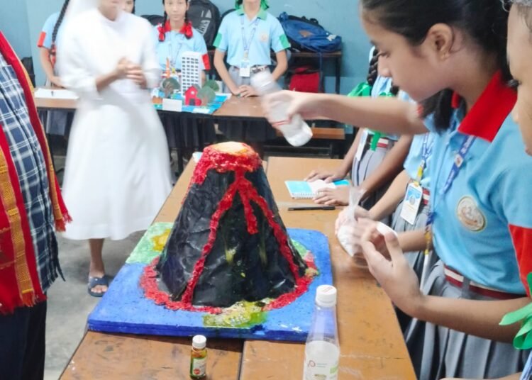 St. Dominic Savio HS School hosts science exhibition