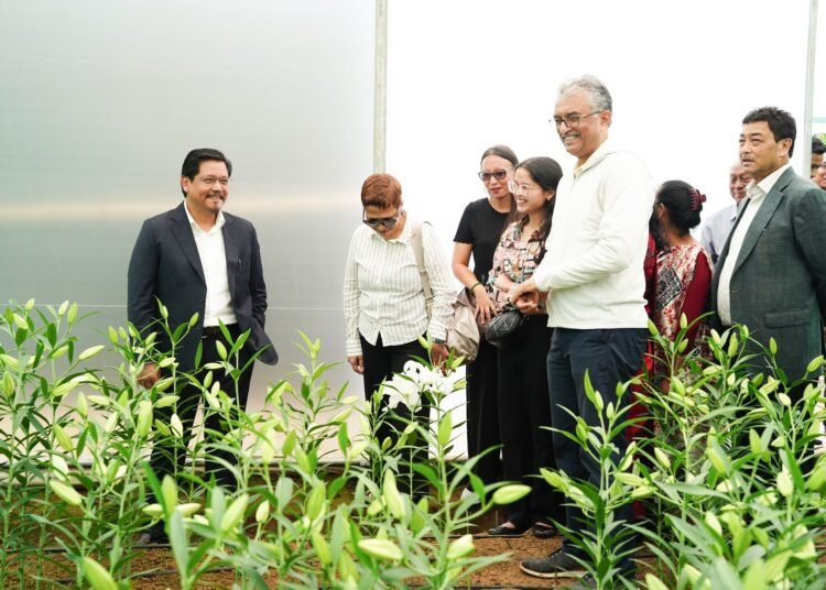 Meghalaya to invest Rs 240 cr to boost floriculture