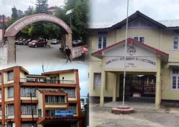 ‘Govt should not intrude on district councils’ autonomy’