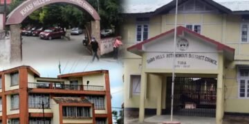 ‘Govt should not intrude on district councils’ autonomy’